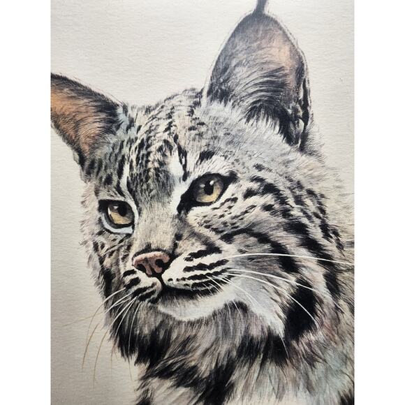 Guy Coheleach Bobcat Lithograph Signed in Green Wood Frame – Vintage - Picture 3 of 9